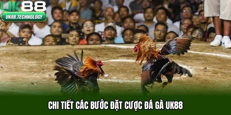 Chi tiết các bước đặt cược đá gà UK88