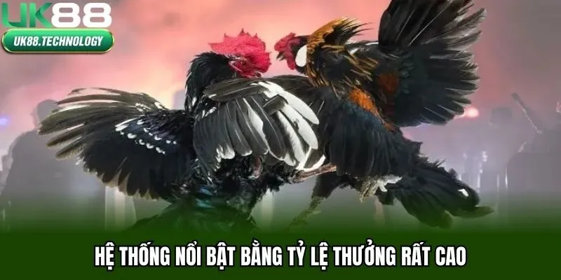 Hệ thống nổi bật bằng tỷ lệ thưởng rất cao