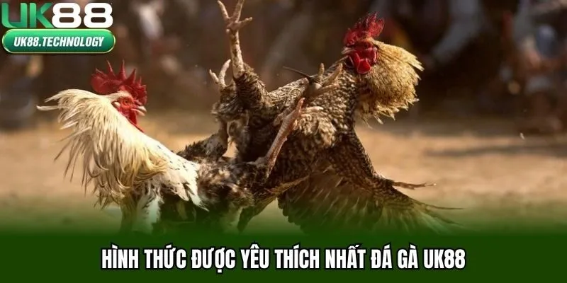 Hình thức được yêu thích nhất đá gà UK88